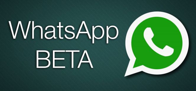 Activating Beta Testing Mode on WhatsApp !