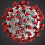 corona virus